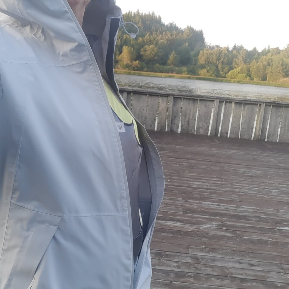 16878959335407162031597352723189.jpg - Palciusia