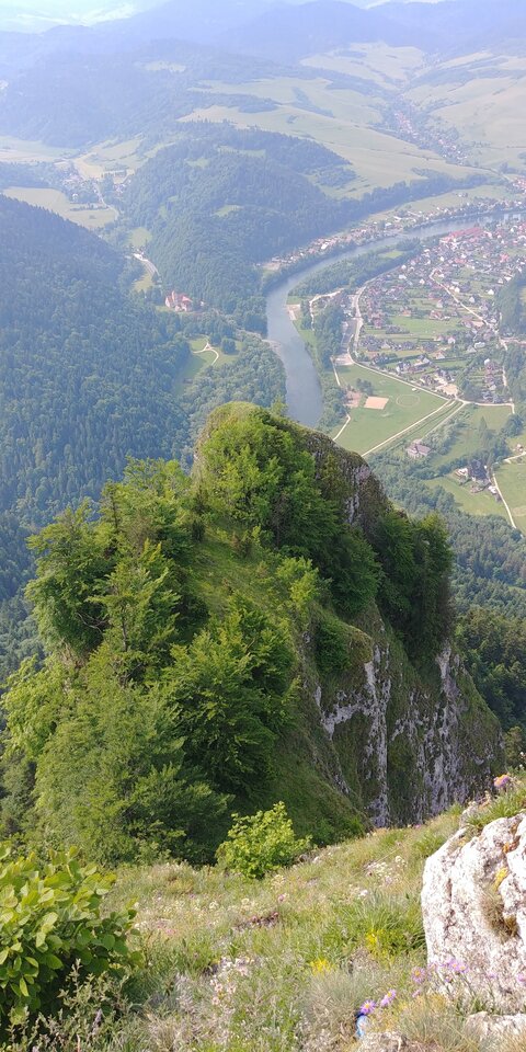 20230621_092448.jpg - Lukass741