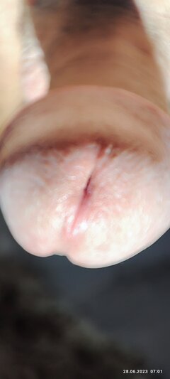 IMG_20230628_070138.jpg
