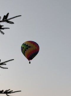 20230619_201547.jpg