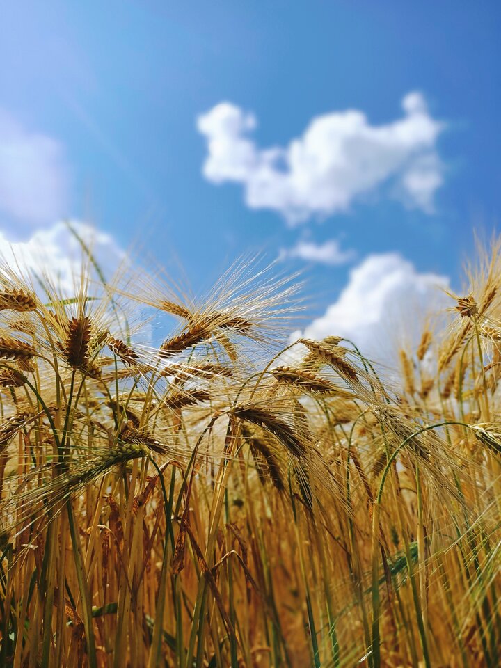 🌞  lato 🌞 - gajowy68