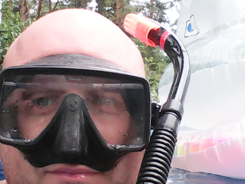 IMG_20170710_160545.jpg - Calisto