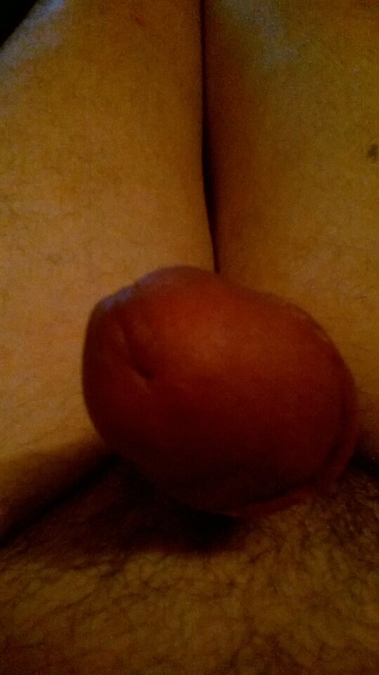 WP_20230629_003.jpg - Rafal9333