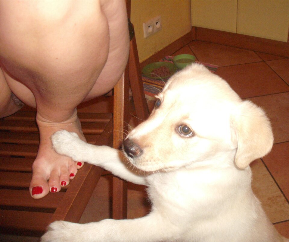 DSCF0896.jpg - 2017ONI