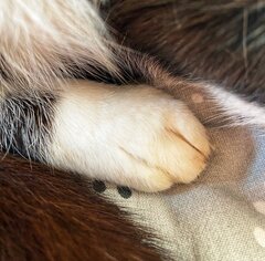 IMG_1683.jpeg