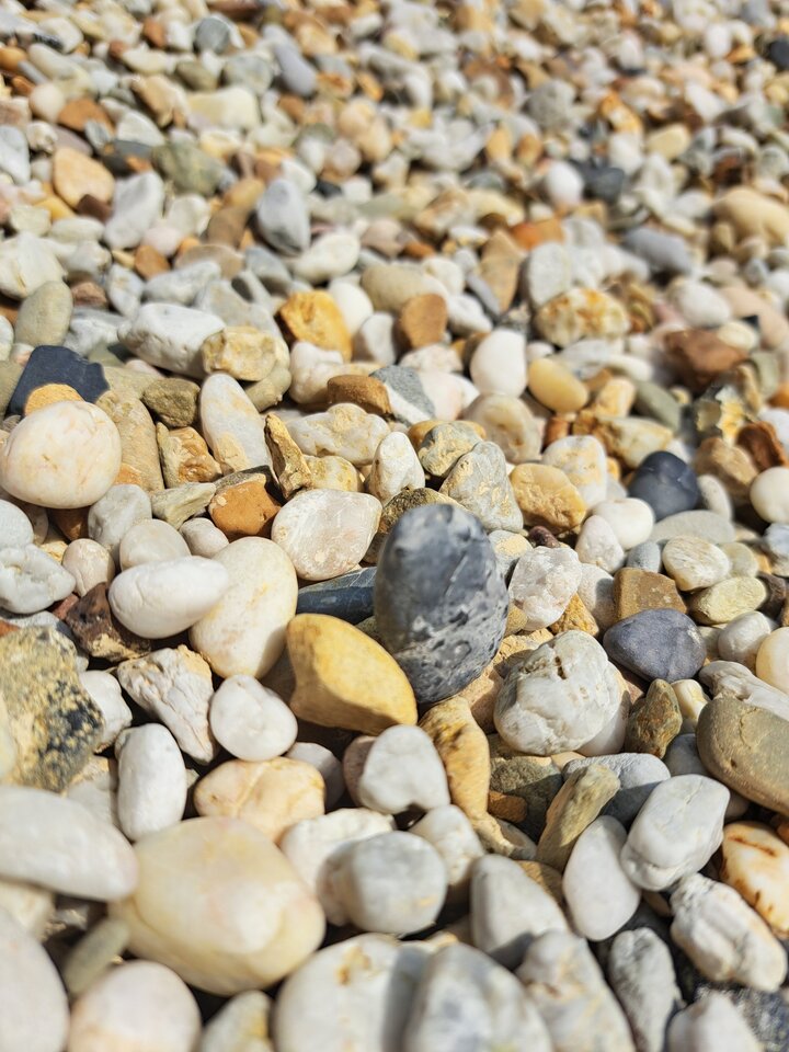 20230630_141410.jpg - gregor8014