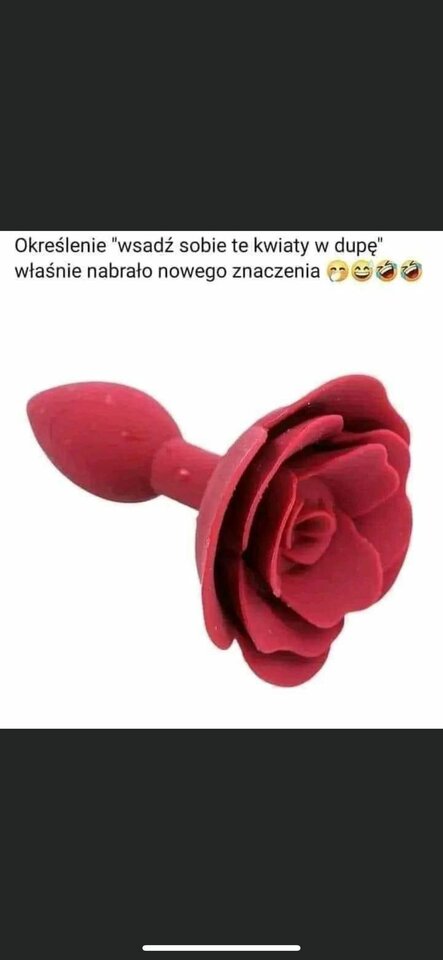 6cbce3fb-9333-4ed3-a0db-0af11d8d2490.jpeg - Pancio1suczka1