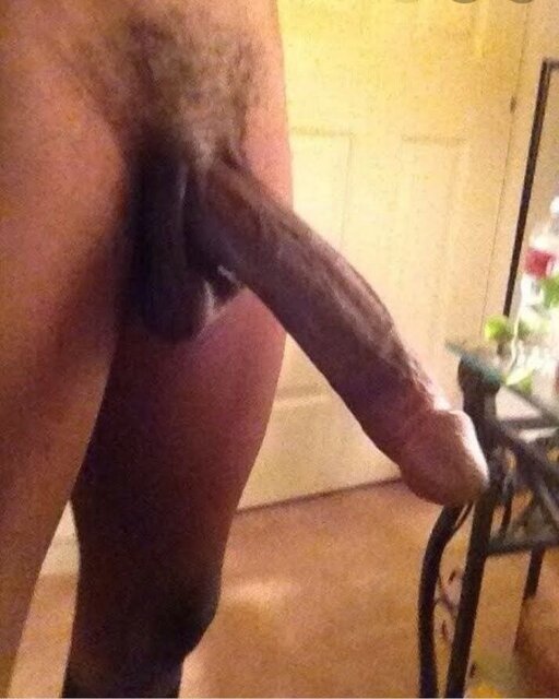 6CCBB2B9-3371-4A96-A10E-5A6FFD43B5D2.jpeg - Bring111