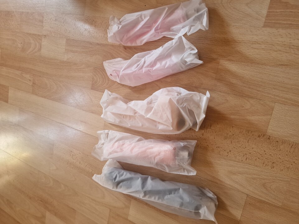 20230422_084040.jpg - Mauro68