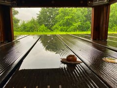 IMG_1710.jpeg