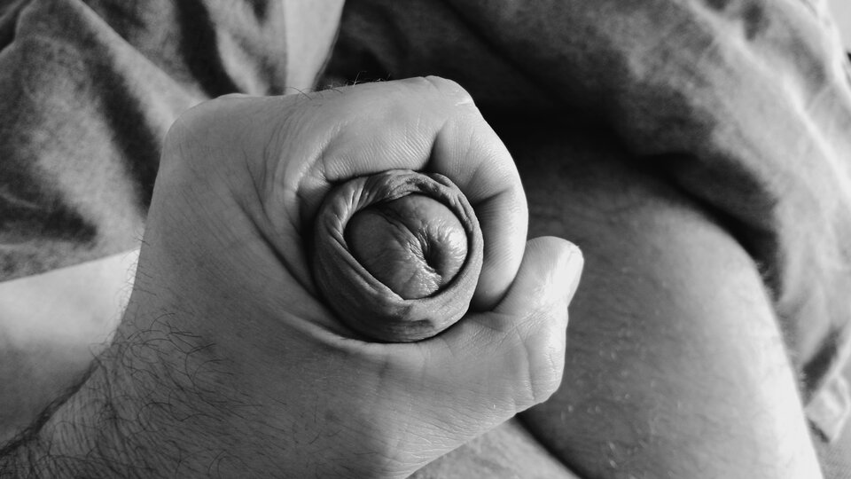 16881934023726266025023206482532.jpg - eroteooo