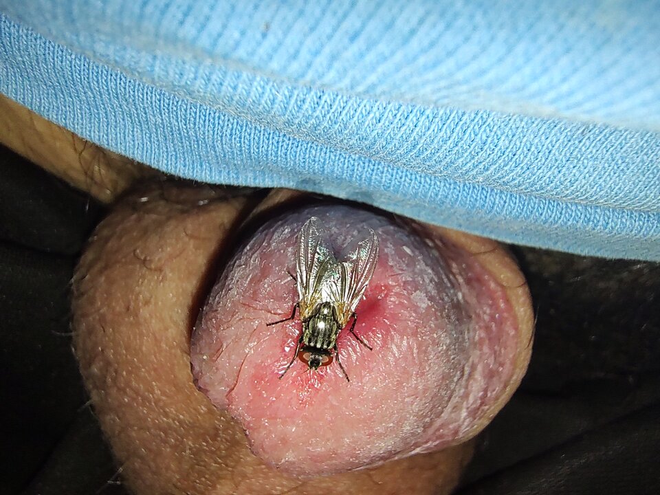 IMG_20230702_054405633.jpg - Fiutkutaschujjaja