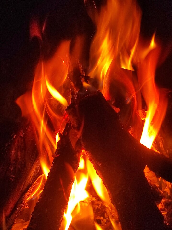 To co tygryski lubią najbardziej... - kaki3024