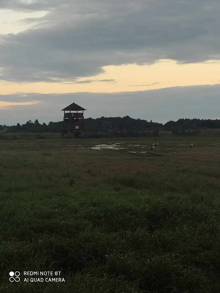 IMG_20230702_203039.jpg - napalony2324