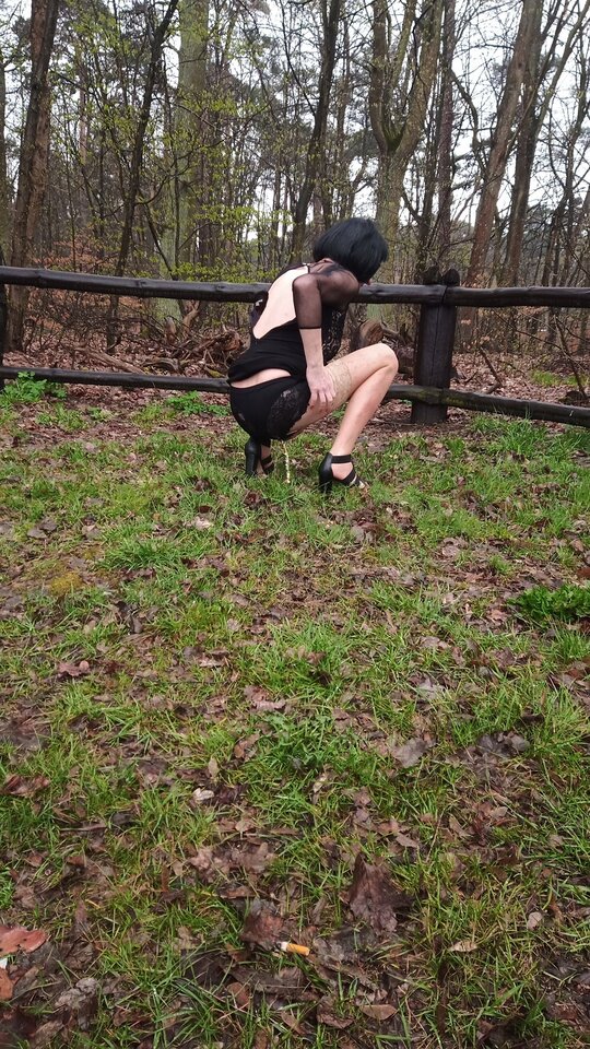 IMG_20230415_113704_0.jpg - sylvia1980tv