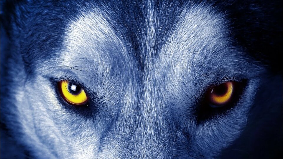 maxresdefault.jpg - FilmowiecWolf