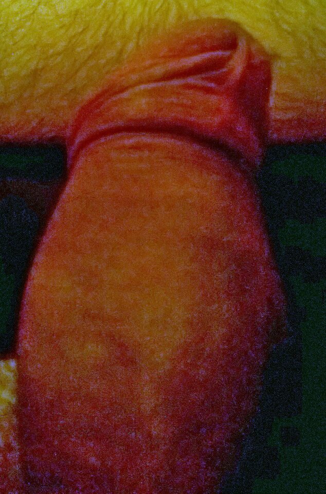 WP_20230702_008.jpg - Rafal9333