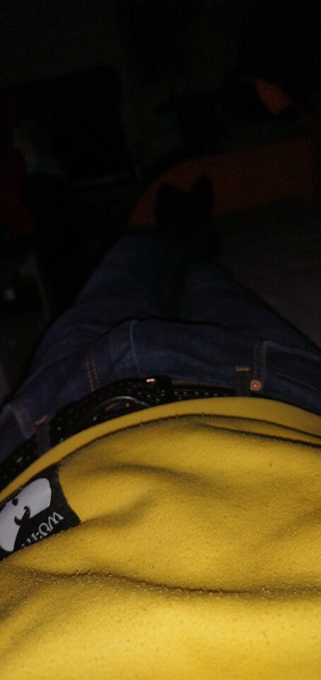 d851621b-8a22-4ab1-a7fb-1b87dedc72eephoto.jpeg - Matisek25