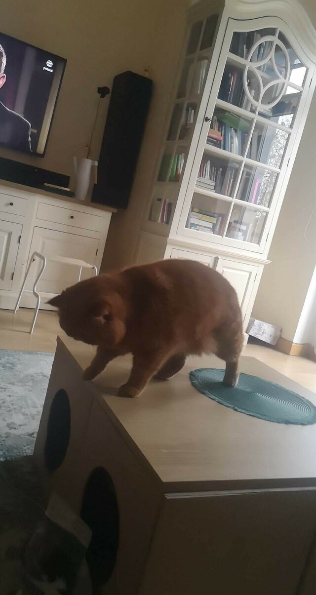 NOCNYKOCHANEK95