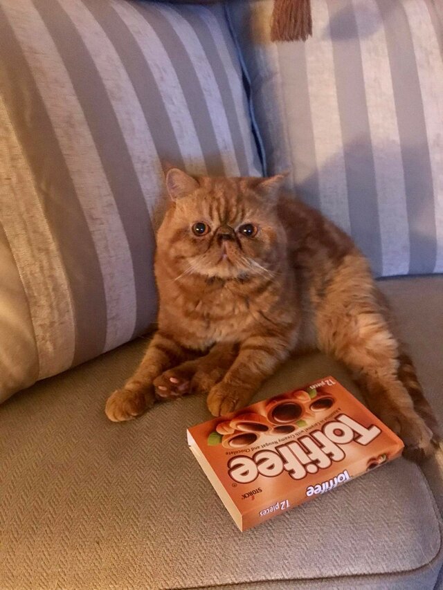 NOCNYKOCHANEK95