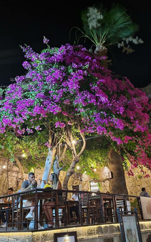 Screenshot_20210715-194635_Maps.jpg - Pawelek789