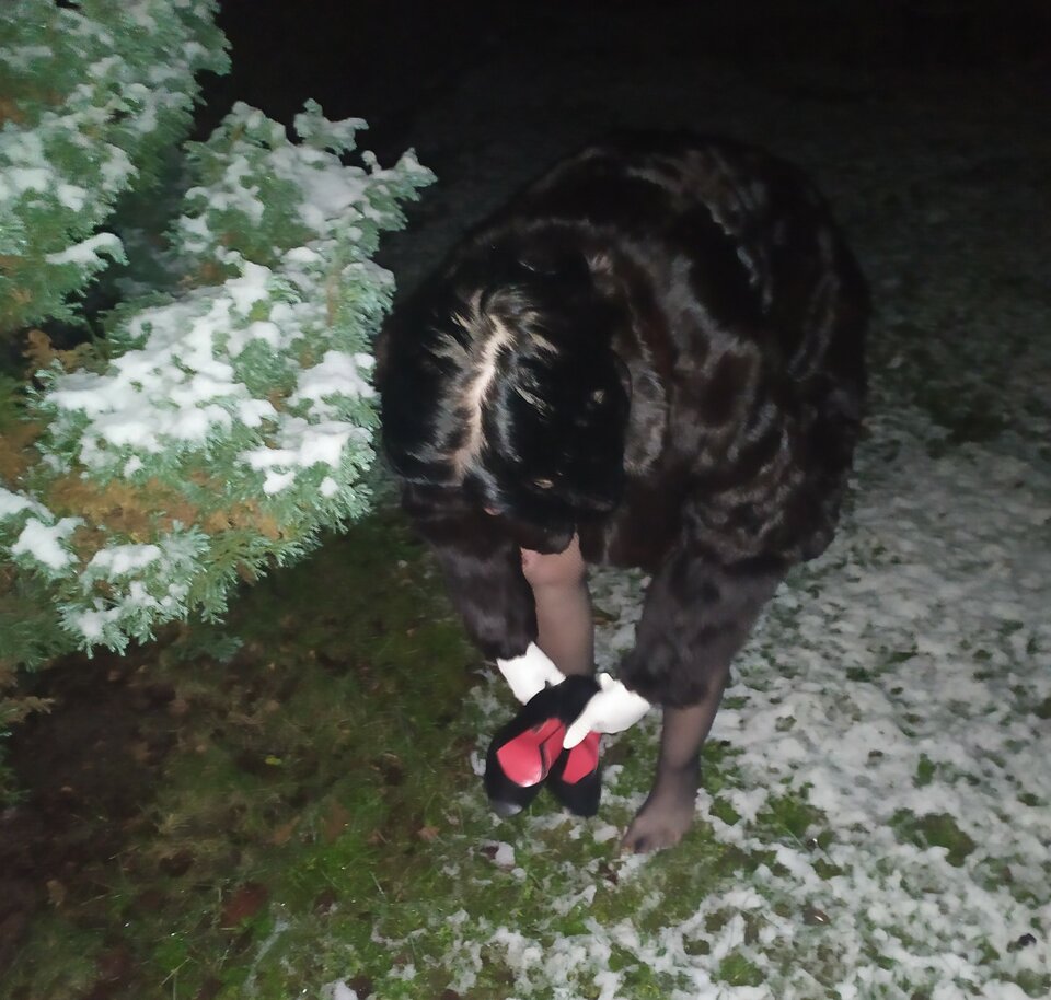 MVIMG_20210110_055834.jpg - 2017ONI