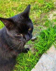 IMG_1779.jpeg