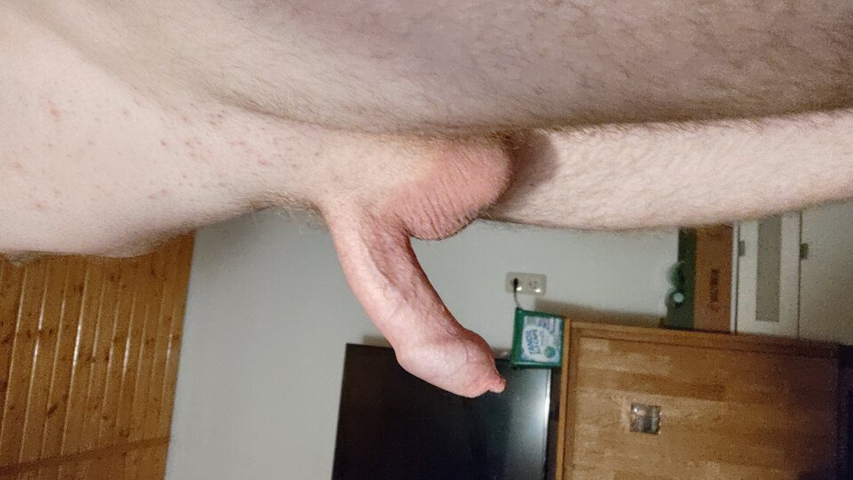 IMG_20230627_044112917_HDR.jpg - Piotrpiotr42