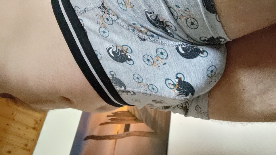 IMG_20230618_084201820_HDR.jpg - Piotrpiotr42