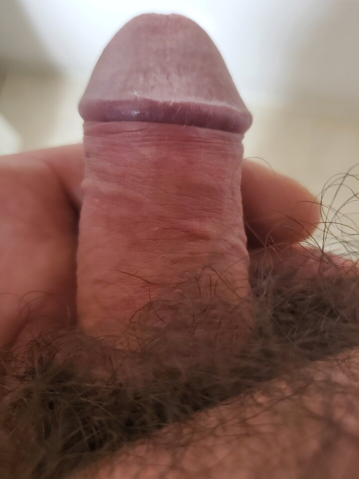 sgn_134722.jpg - ny39