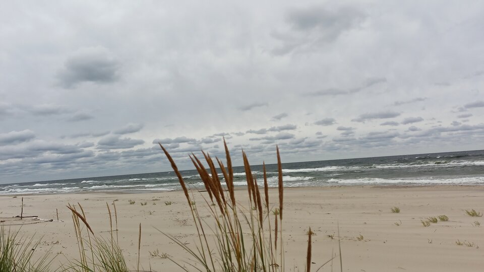 IMG_20210806_120922_491.jpg - ZakochaniWMorzu