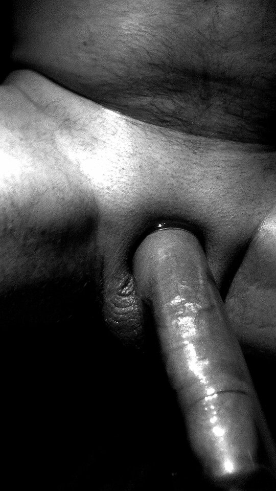 2023-06-17-2468_1.jpg - egon1000