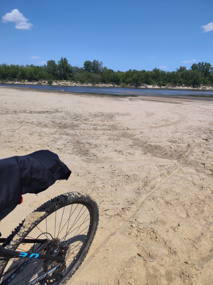 2023-07-0412.29.096163393851485883780.jpg - tom6970