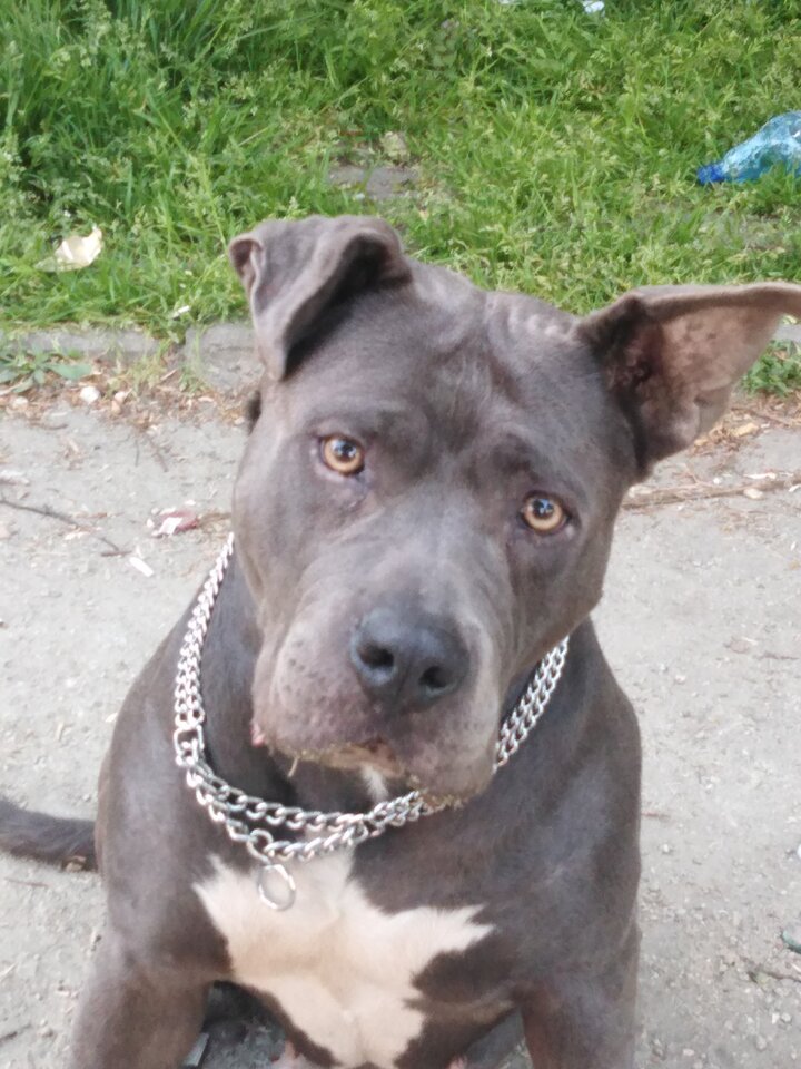 IMG_20230511_193832.jpg - carino007