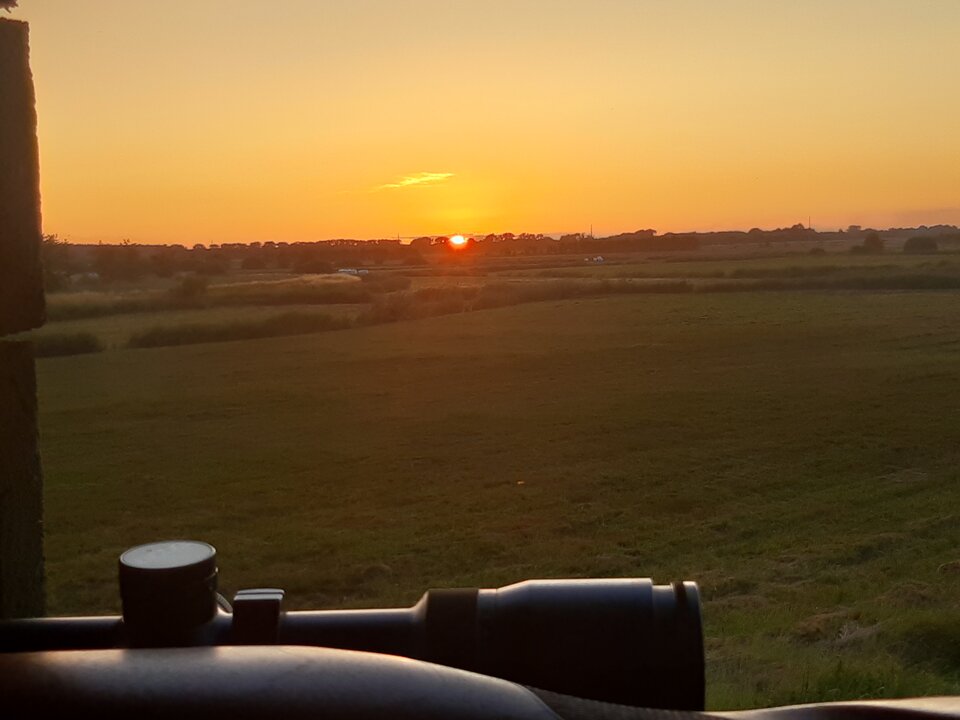 20230704_212757.jpg - misiu1969