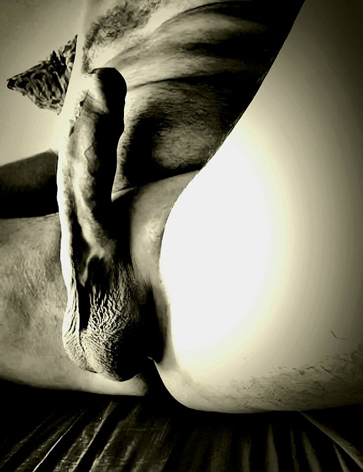 big_994a9e8687b51c26639743e31c894971.jpg - MotyliJa691