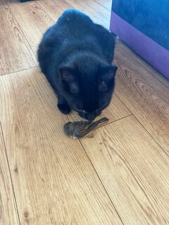 IMG_1787.jpeg