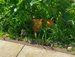 IMG_1792.jpeg