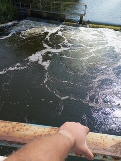 IMG_20230705_093919.jpg