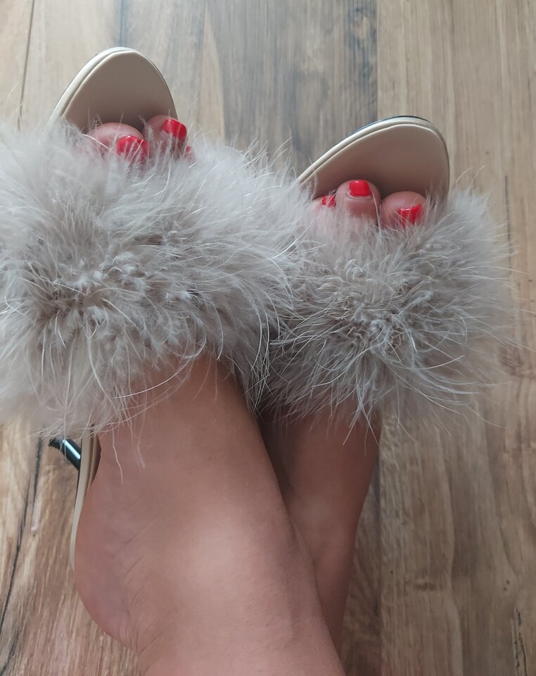 Puszysta kotka.jpg - cherry_blossom