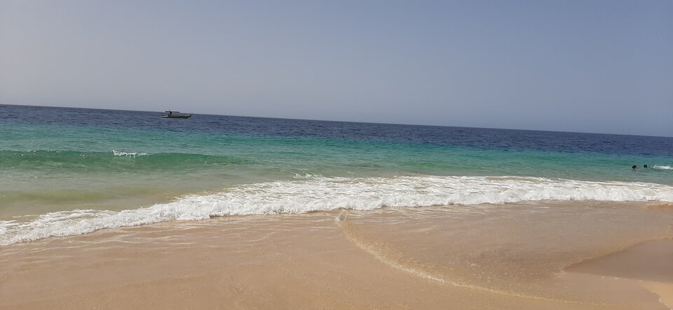 20230705_111315.jpg - Tedi_and_BBW