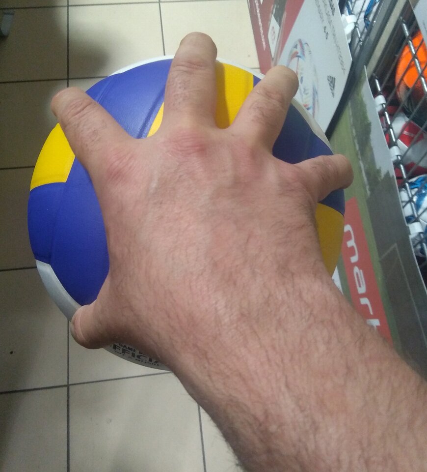 IMG_20230627_185616.jpg - Marfwb