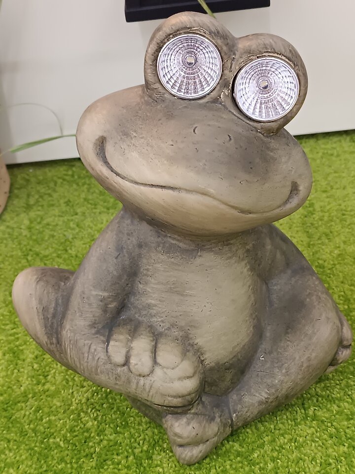 Autoportret 😈🐸 - zabka_i_mis