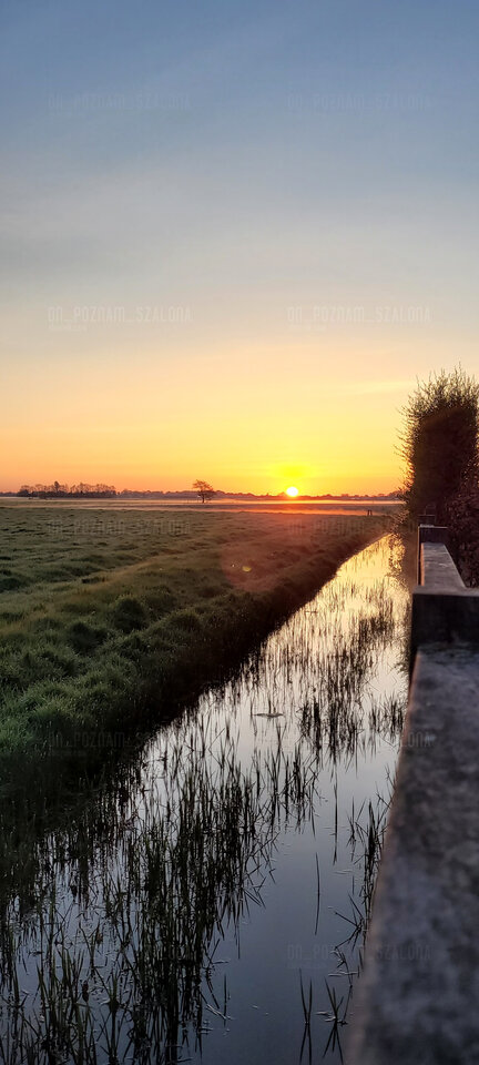 🫠 - On_Poznam_szalona