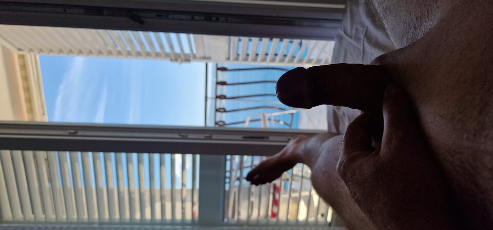 16886365516712622770646330621088.jpg - robin266