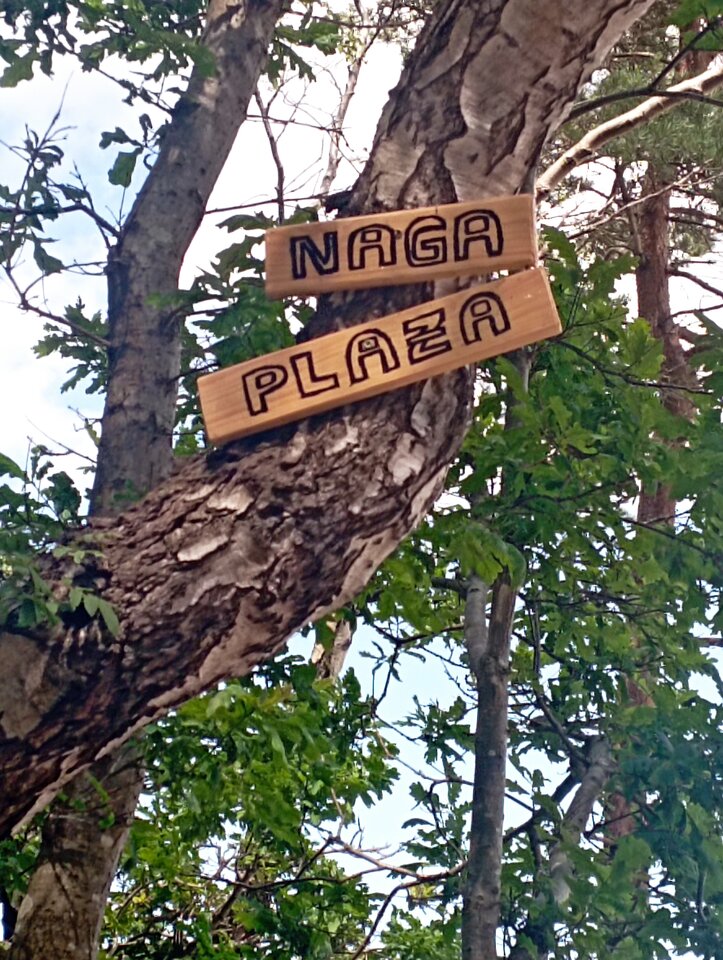 IMG_20230706_130059.jpg - arci34