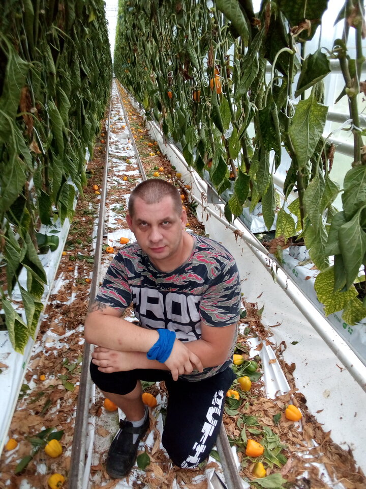 IMG_20190809_071928.jpg - Marcin1981wro