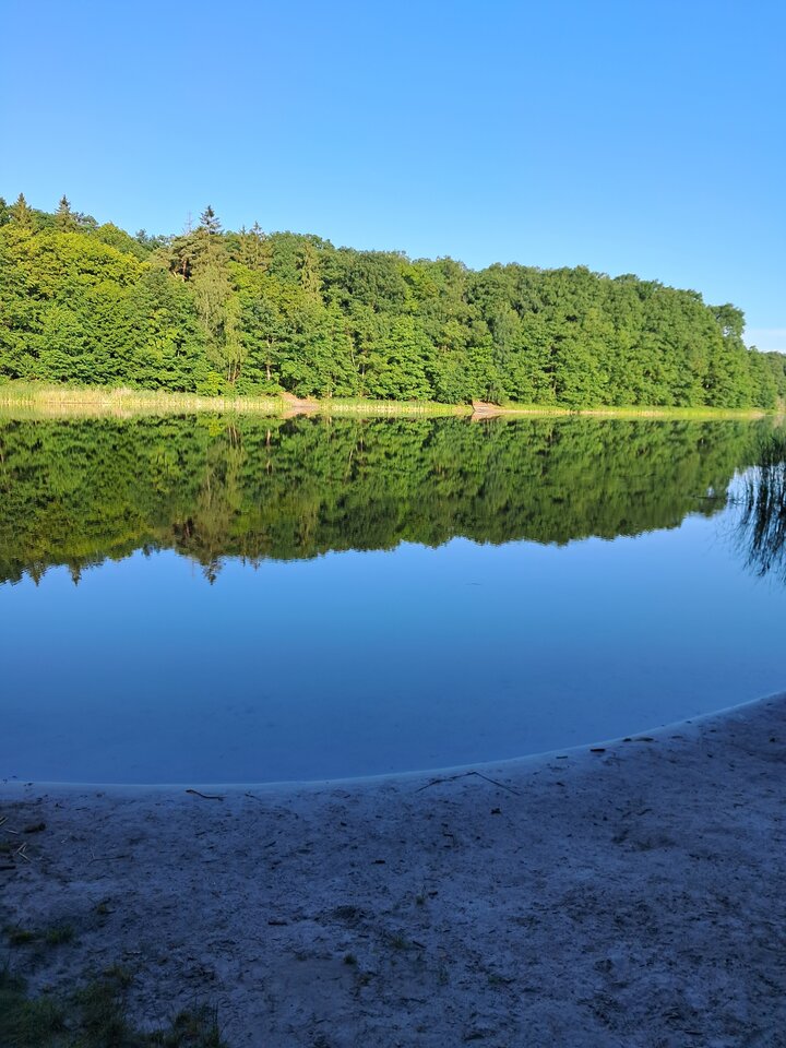 20230707_070809.jpg - mmrruum