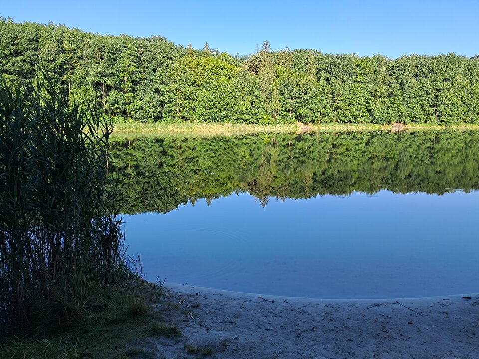 20230707_070821.jpg - mmrruum