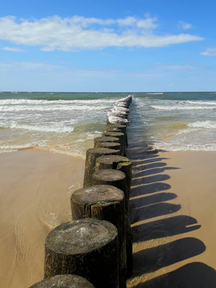 593.jpg - Skorpion750